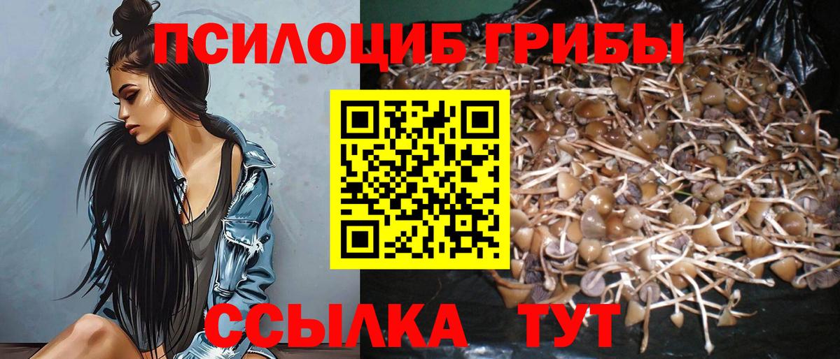 Ржев  Галлюциногенные грибы прущие грибы  Вход с VPN  Галлюциногенные грибы ЛСД 